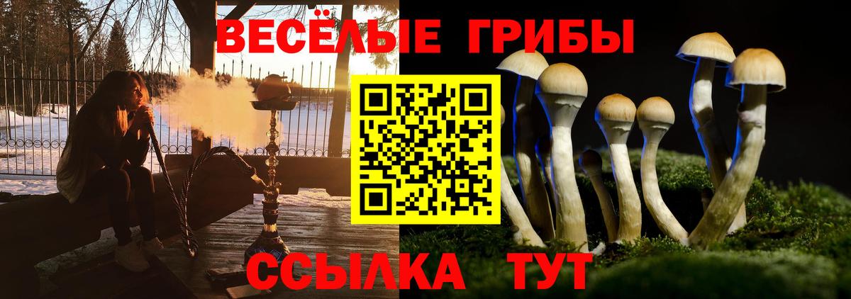 Галлюциногенные грибы Cubensis  Вход с VPN  Ступино 